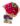 20-bot.-com-collection2.jpg