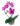 61aa9e7c-85fe-482e-9a03-66a8480259b62.jpeg