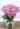 Amor-Lilas.jpg