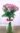 Amor-Lilas1.jpg
