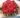 BUQ00011-Buque_de_rosas_10_booes-Cone_Kr-Off-1.jpg