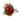 Buque-12-botoes-com-avenca3.jpg
