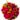 Buque-31-Botoes-de-Rosas-vermelhas-1.jpg