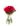 Buque-classico-com-20-botoes-de-rosas-vermelhas.jpg