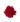 Buque-classico-com-20-botoes-de-rosas-vermelhas2.jpg
