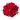 Buque-com-50-botoes-de-rosas-vermelhas.jpg