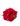 Buque-com-50-botoes-de-rosas-vermelhas1.jpg