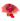 Buque-com-Romantismo-Pink2.jpg