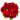 Buque-de-Rosas-Vermelhas-com-22-botoes1.jpg