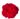 Buque-de-Rosas-vermelhas-com-20-Botoes-1.jpg