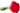 Buque-de-Rosas-vermelhas-com-20-Botoes-2-1.jpg