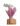 Orquidea-com-Ferrero.jpg