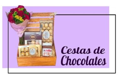 cat chocolate